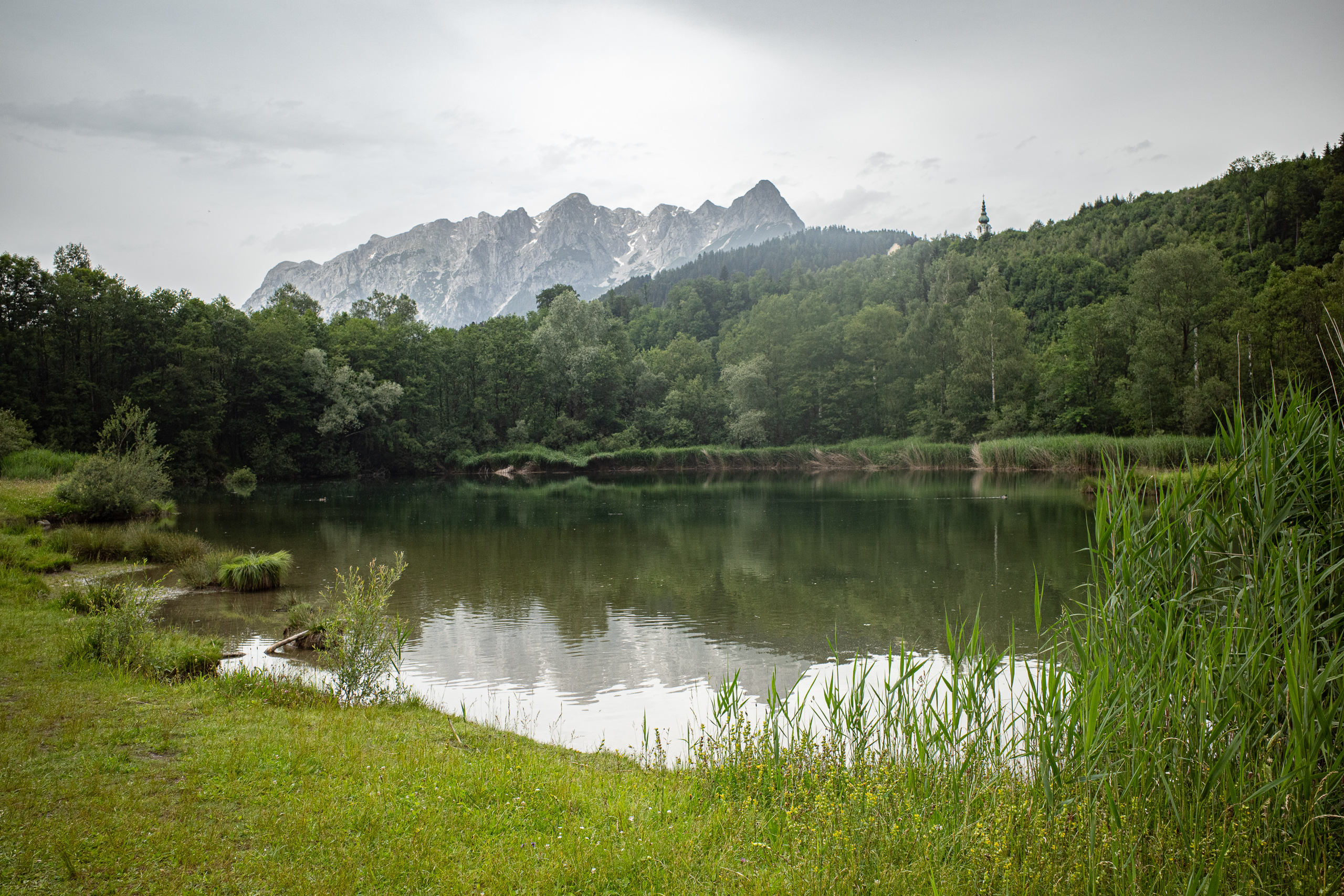 Stiller Teich am Weg, dahinter die Kalkwände und ein Kirchturm über dem Wald